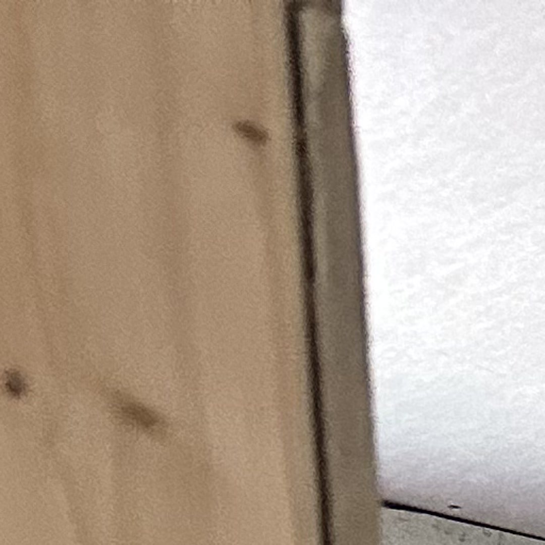 Modern Kitchen Remodel in Cambridge - Photo 4