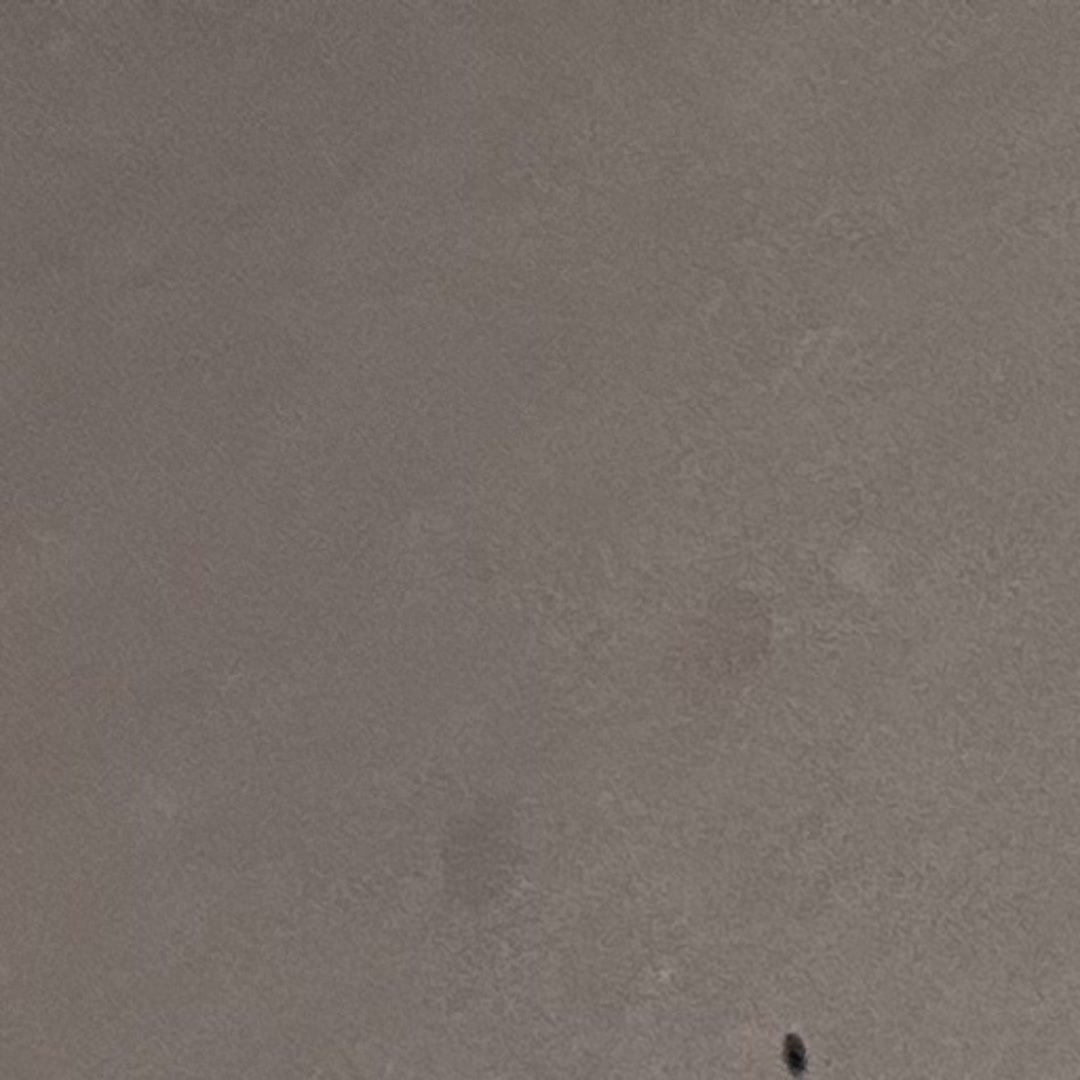 Modern Kitchen Remodel in Cambridge - Photo 5